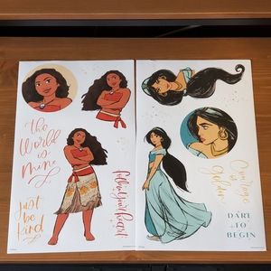 Happy Planner Disney Princess large stickers Mulan